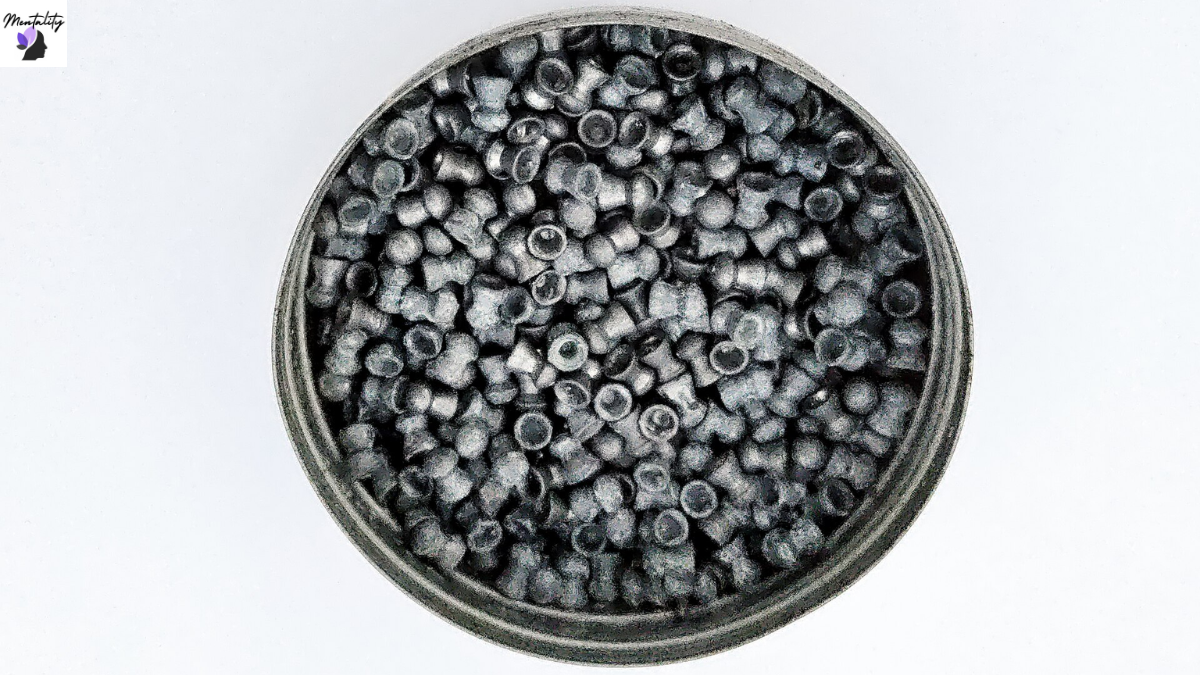 Air gun lead pellets